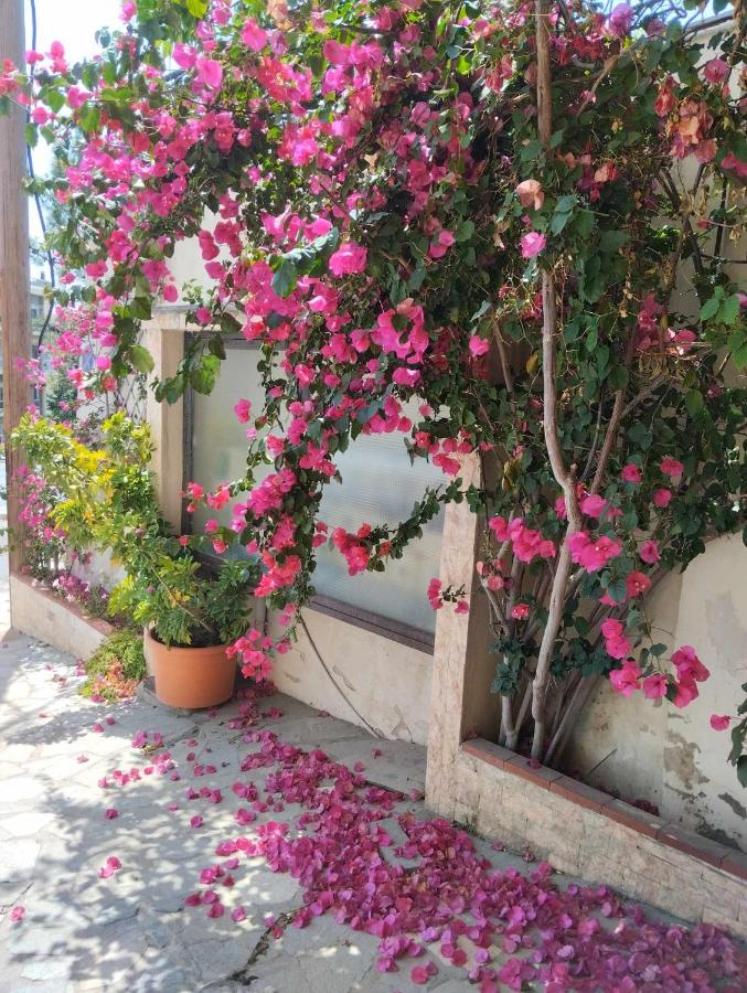 Theros Kalamitsa Apartment - B&B Kavala