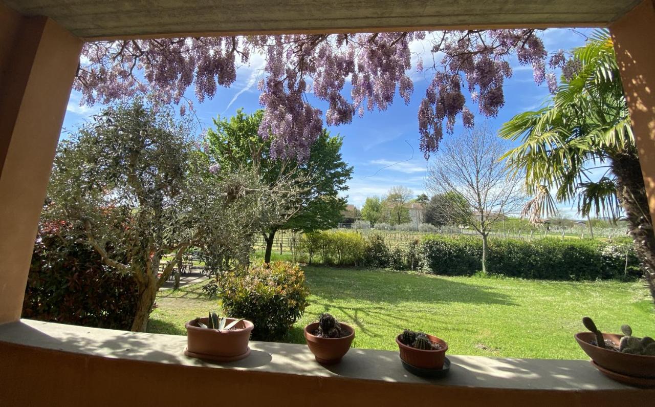 Ampio appartamento vicino all'autodromo - Ample apartment near the racing circuit - B&B Imola