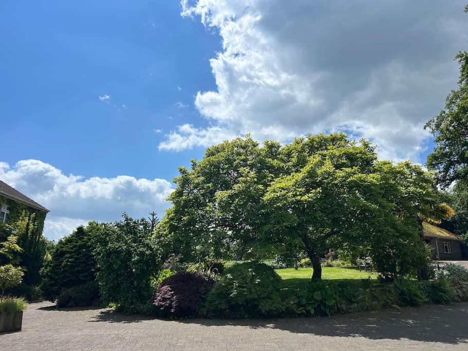 The Apartment on the Moor - B&B Bovey Tracey