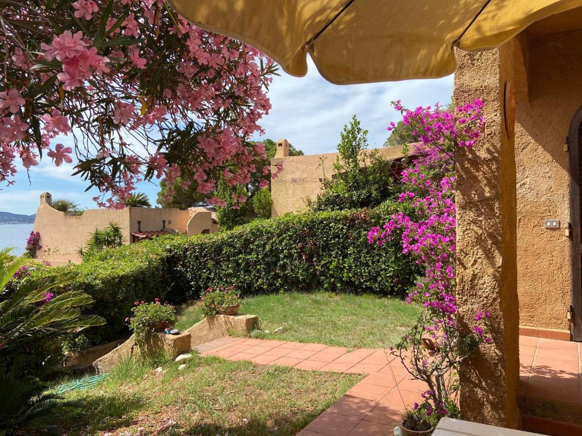 Le Tortore 15 - Goelba - B&B Portoferraio