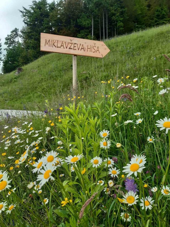 Miklavževa hiša with a bread oven - B&B Železniki