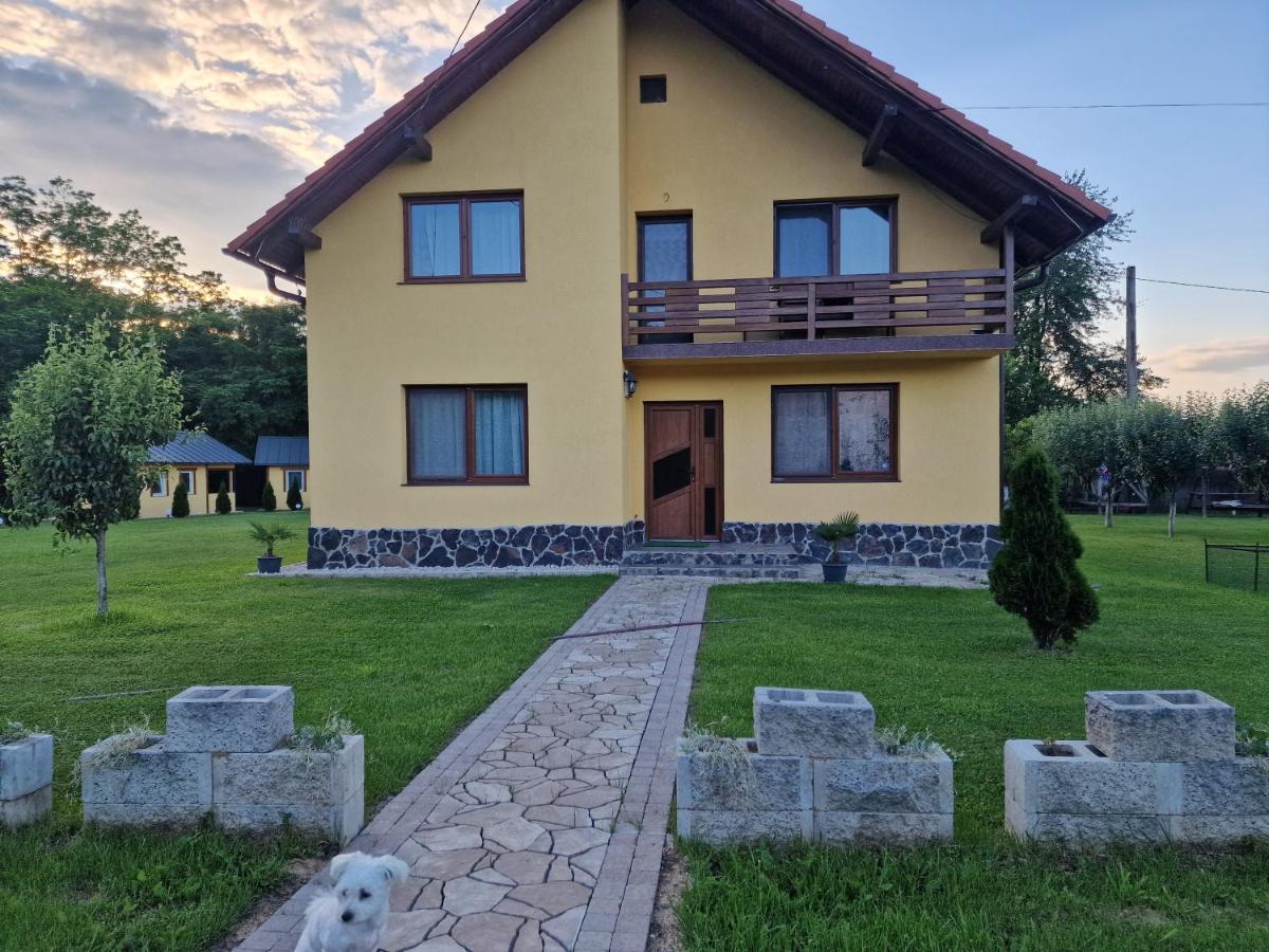 Casa Maya - Bed and Breakfast Săsciori