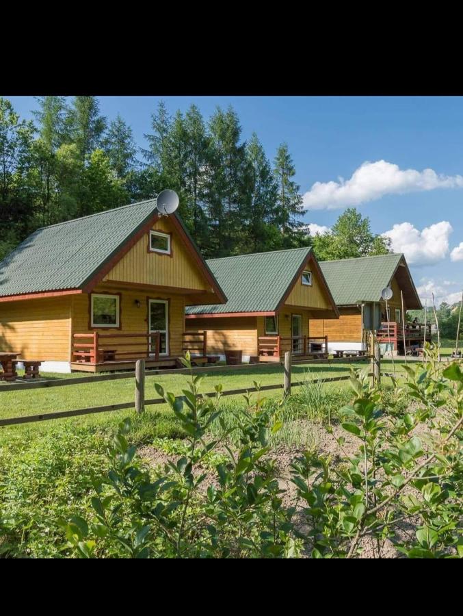 Domki letniskowe Gdzie strumyk płynie z wolna - B&B