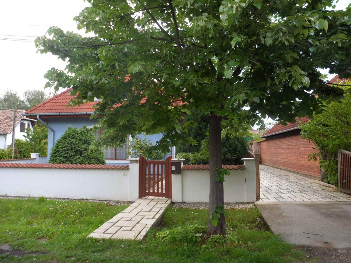 Apartment in Balatonbereny - Balaton 18043 - Ferienwohnung Balatonberény