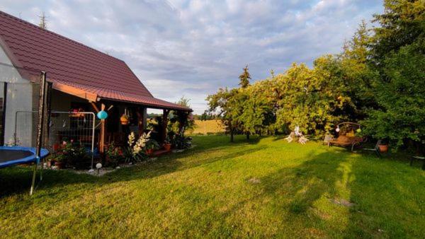 Domek w Sadzie - B&B