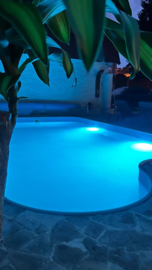 Hasdeu elegant apartment with pool - Ferienwohnung Klausenburg