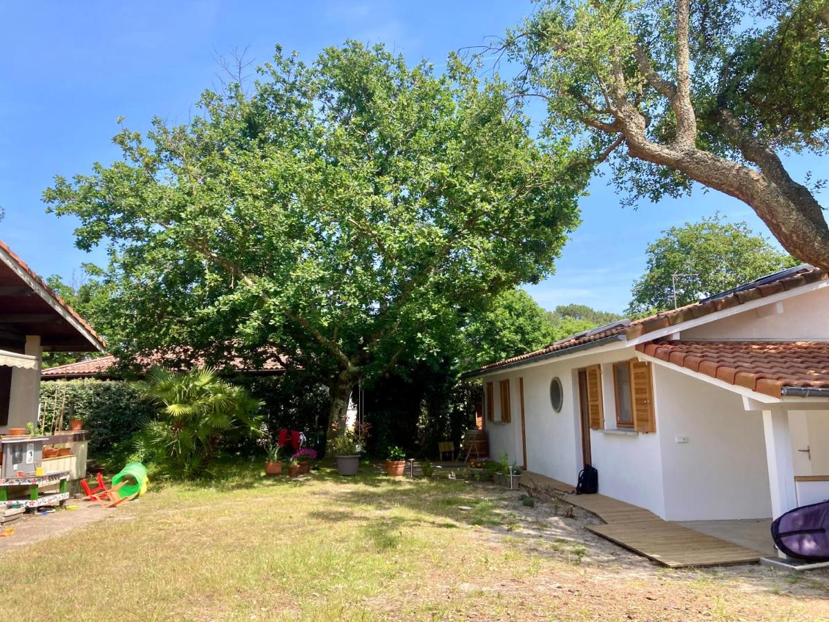 Sous deux chênes - Ferienwohnung Vieux-Boucau-les-Bains