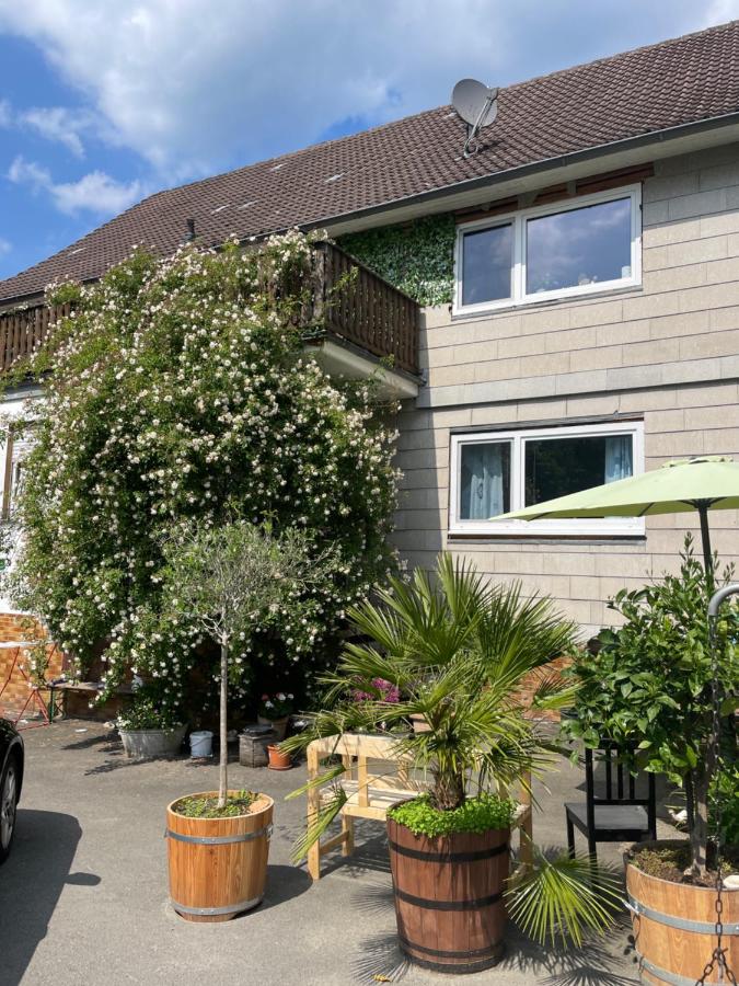 Ponyparadies - Bed and Breakfast