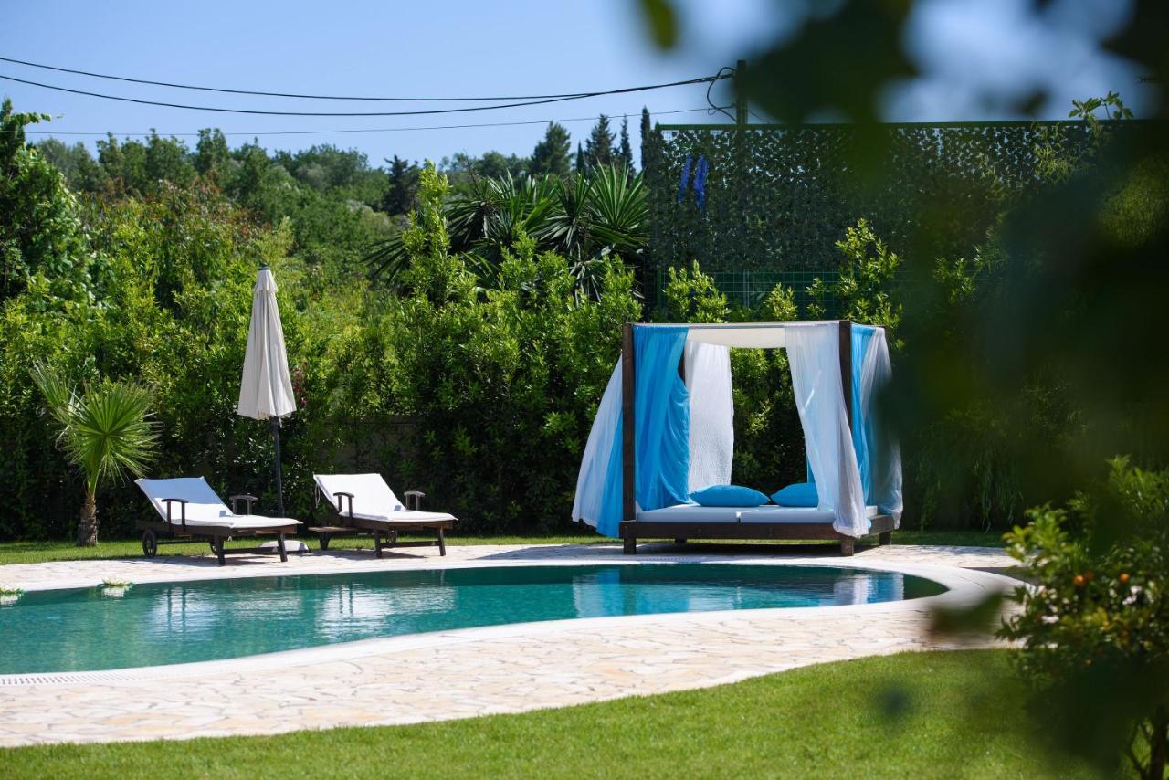 Villa Black White Dassia - B&B Dassia