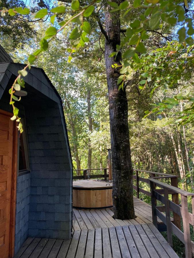Hermoso domo en altura entre el bosque nativo + tinaja privada - B&B