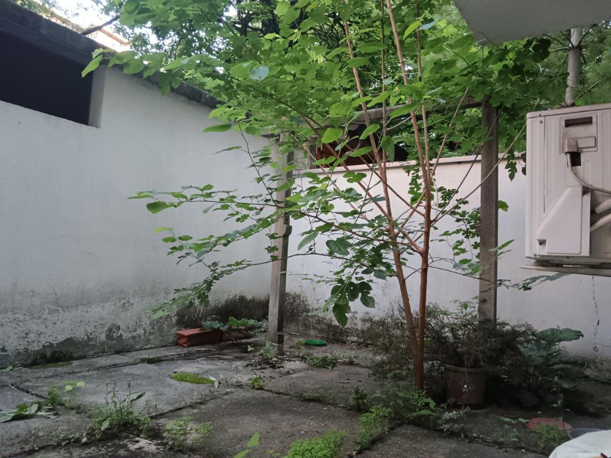 Art rooms Ruta & Lota - B&B Zagreb