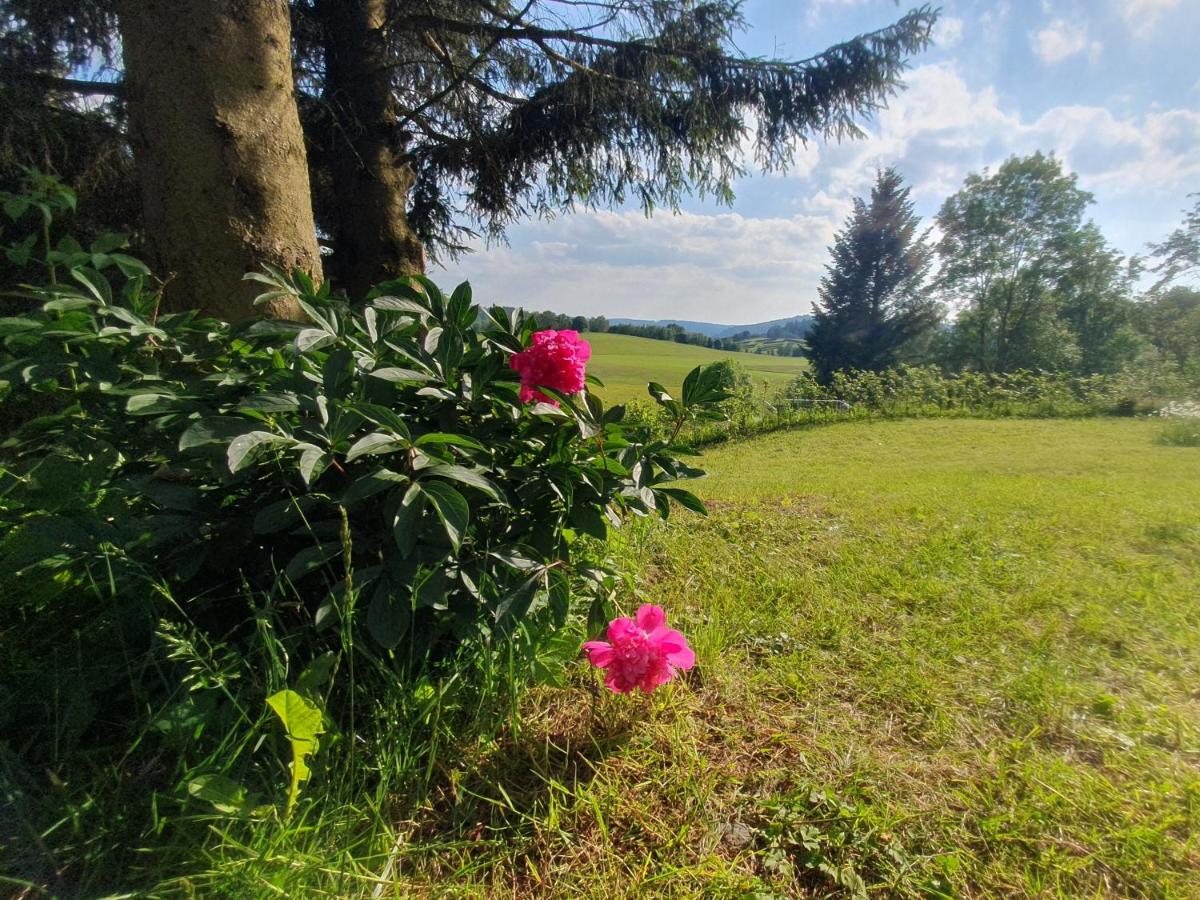 Ferienhaus Beerberg - Chambres d’hôtes Suhl