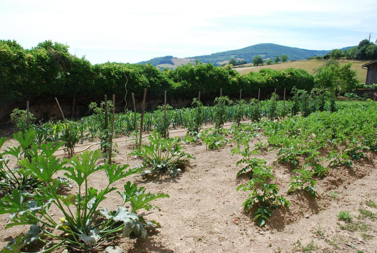 La Ferme Berger - Bed and Breakfast