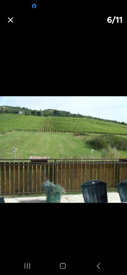 Maison au milieu des vignes - B&B