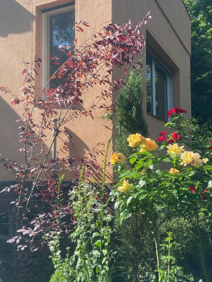 Studio im Haus Amselgarten - B&B Kolonie Tannenhof