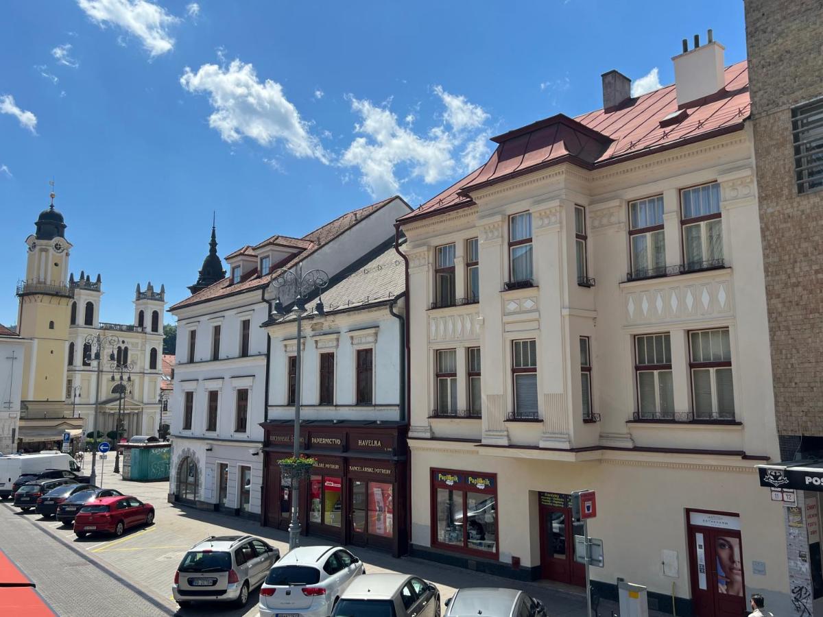 Apartman TRZNICA - Bed and Breakfast