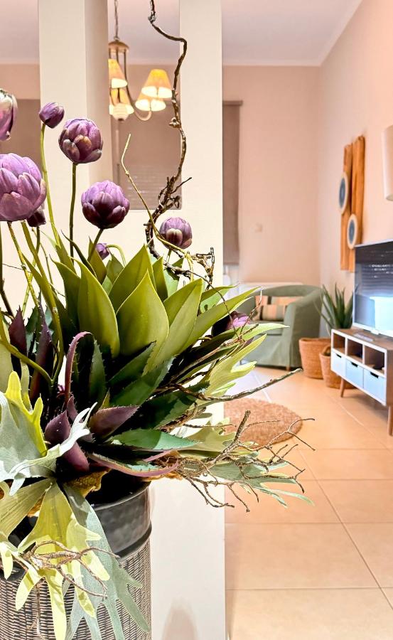 Petite Fleur - Ferienwohnung Prevesa