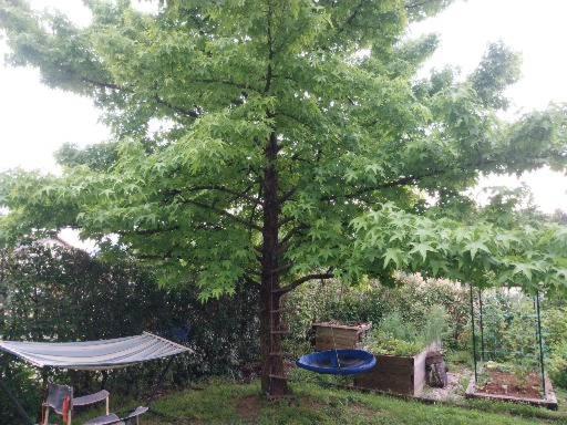 Starling Loka - B&B Škofja Loka