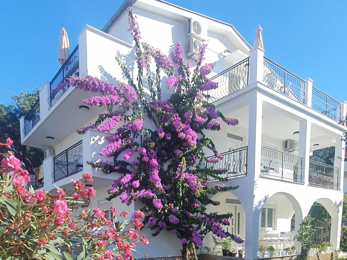 Apartments PROVA **** - B&B