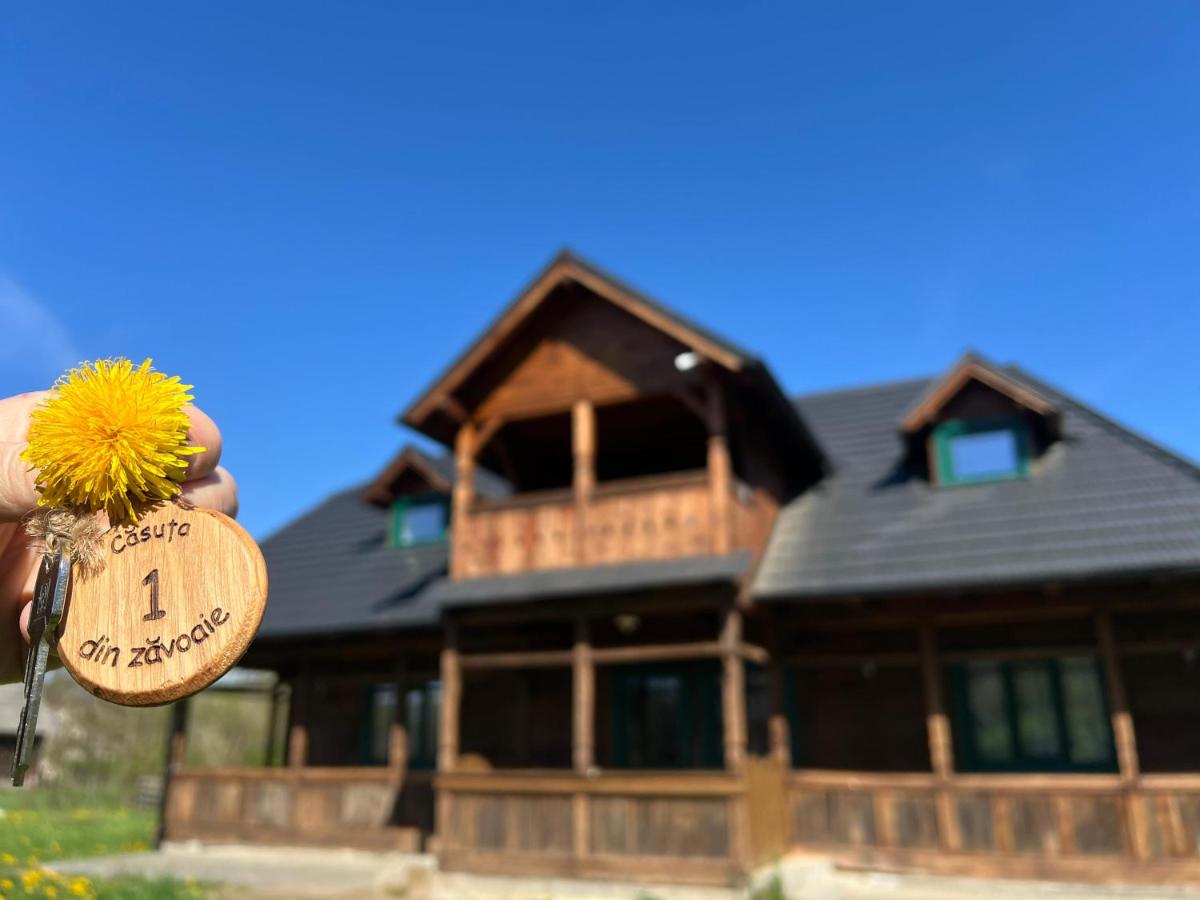 Căsuța din Zăvoaie - B&B Giuleşti