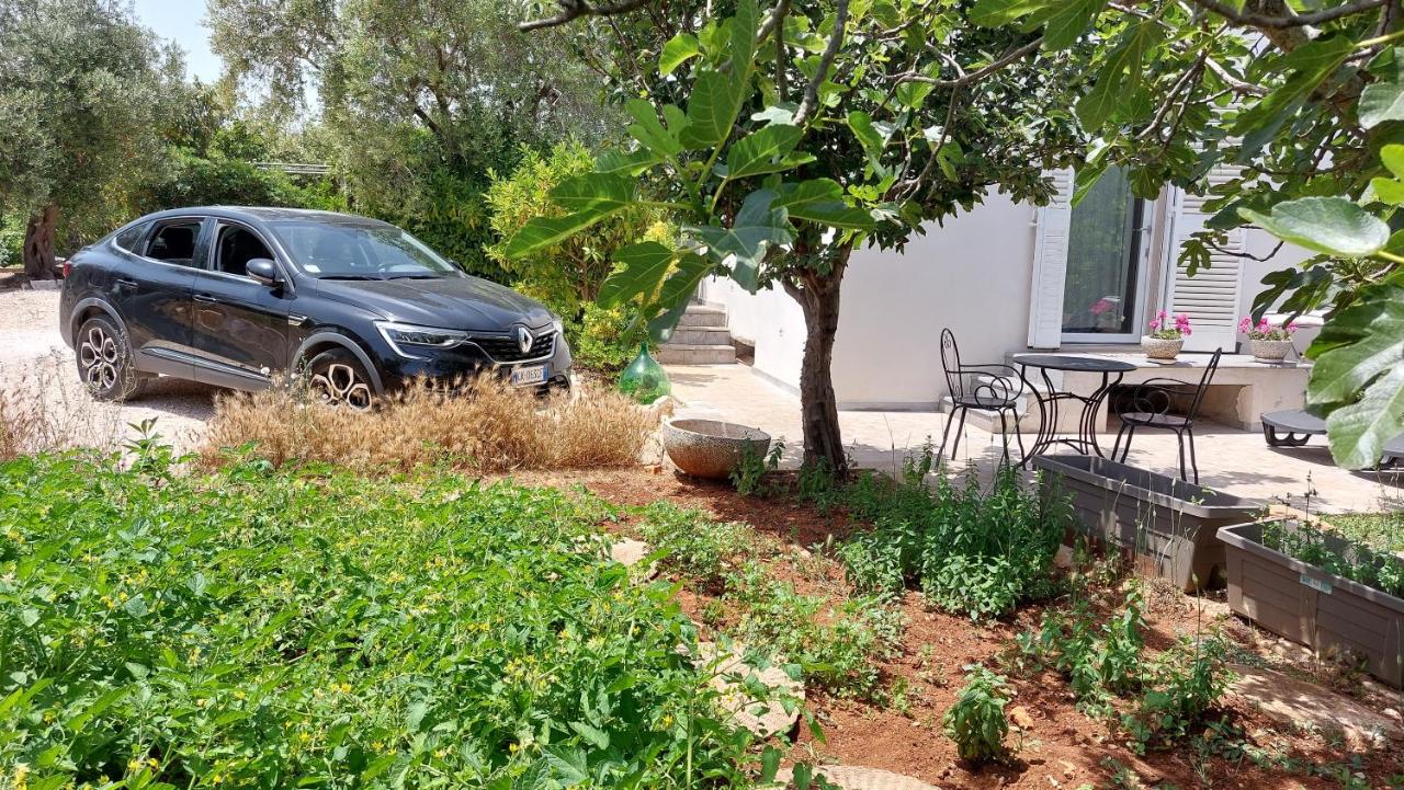 All'ombra dell'ulivo - B&B