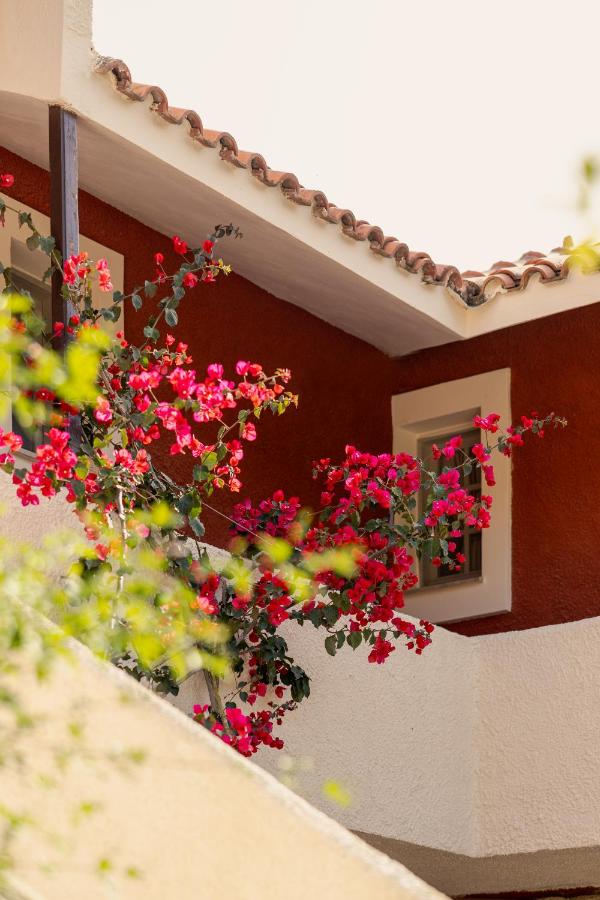 Villehardouin Farm Estate, Studios & Apartments, Minia, Kefalonia - Chambres d'hôtes Argostoli