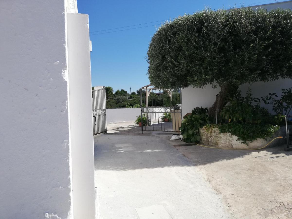 Camera King con Vista Giardino