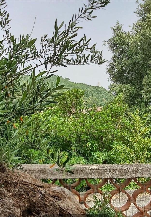 Pet Friendly Maison de l'Olivier