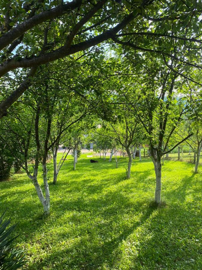 Villa La Familia - B&B Bihać