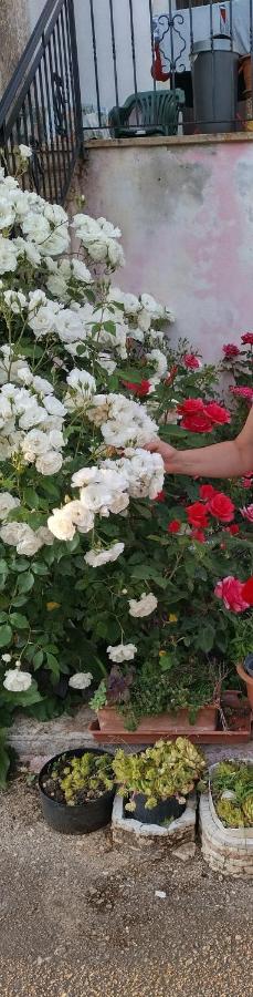 App Lidia - B&B