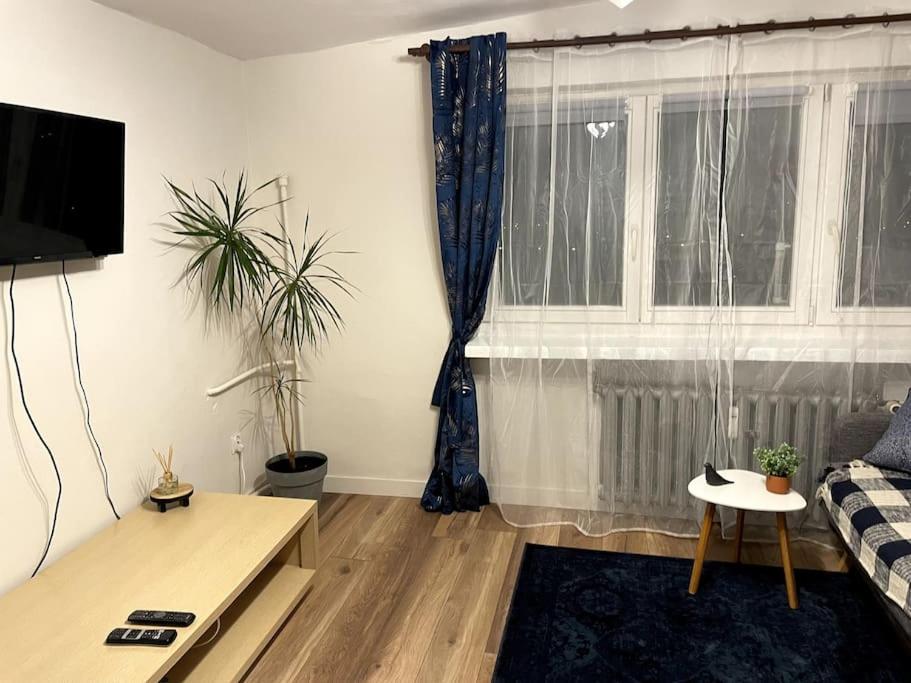 Appartamento con 1 Camera da Letto