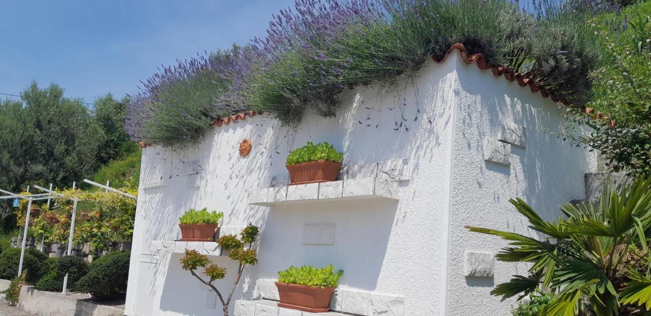 Apartments Milok - B&B Sečovlje