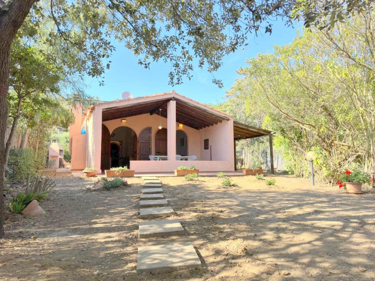 Campulongu House - B&B