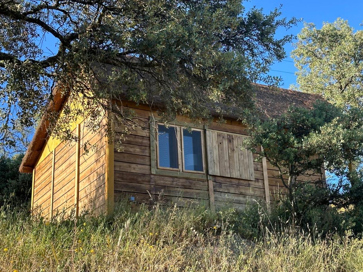 Maison 1 Chambre