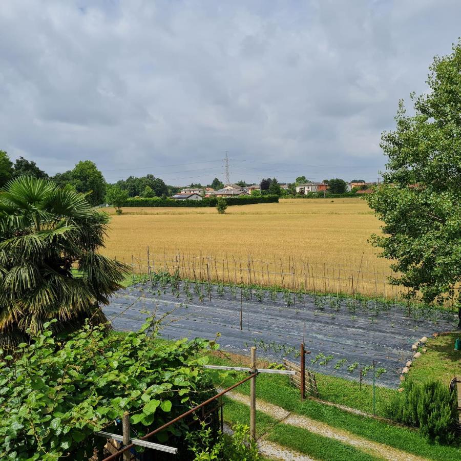 Il Gufetto - B&B Mira