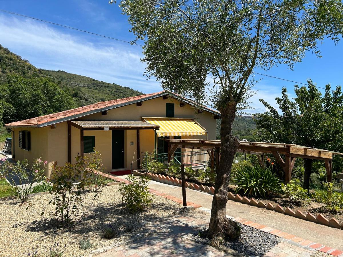 La Casa negli Ulivi, con piscina - Ferienwohnung