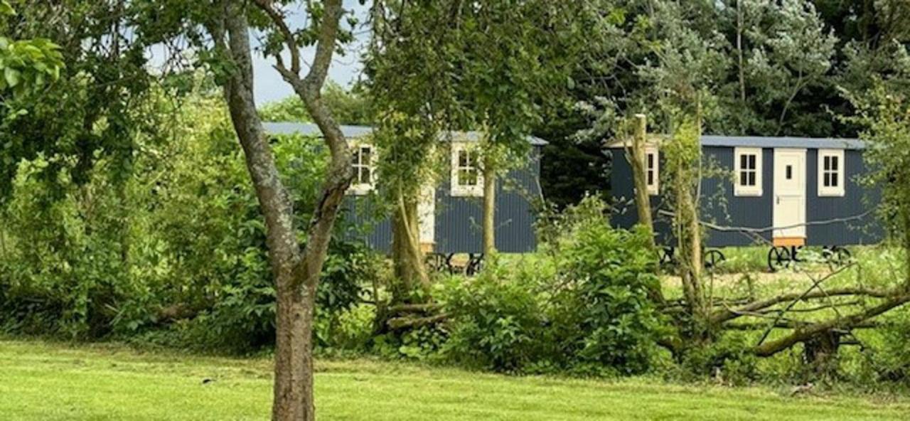 ShepherdsHut-Cotswolds-PetFriendly-WoodBurner - B&B
