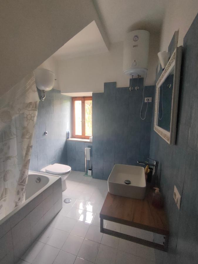 Mixed Dormitory Room