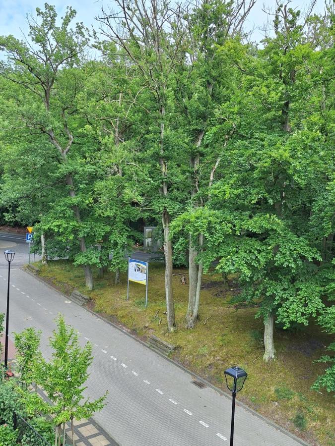 Doppel-/Zweibettzimmer mit Balkon