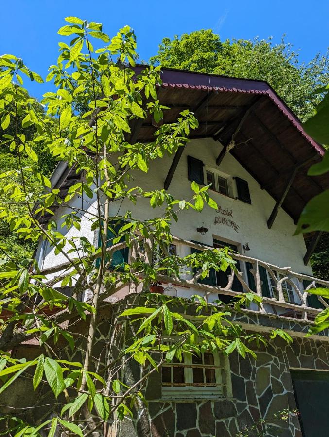 Peaceful chalet near the the Sure river - B&B