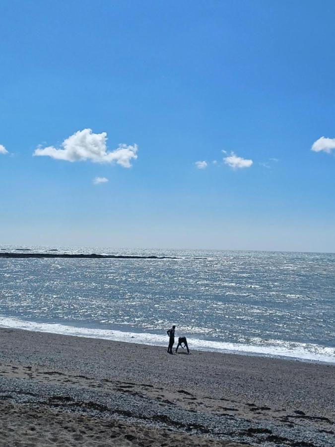 Aberystwyth Seafront Bliss - B&B Aberystwyth
