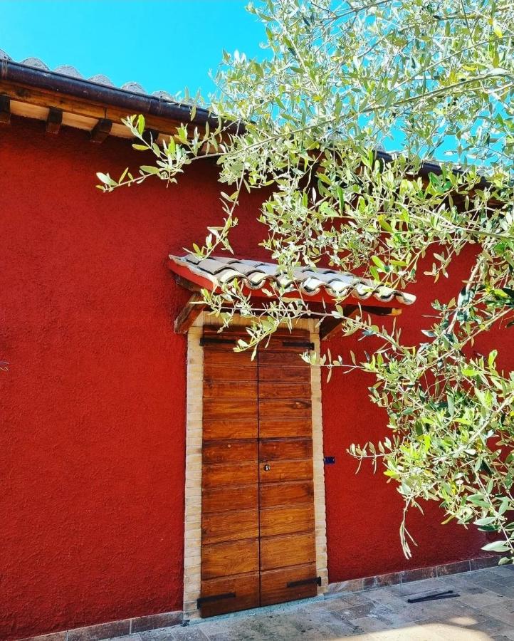 Terre di Cornossa - Bed and Breakfast Marta