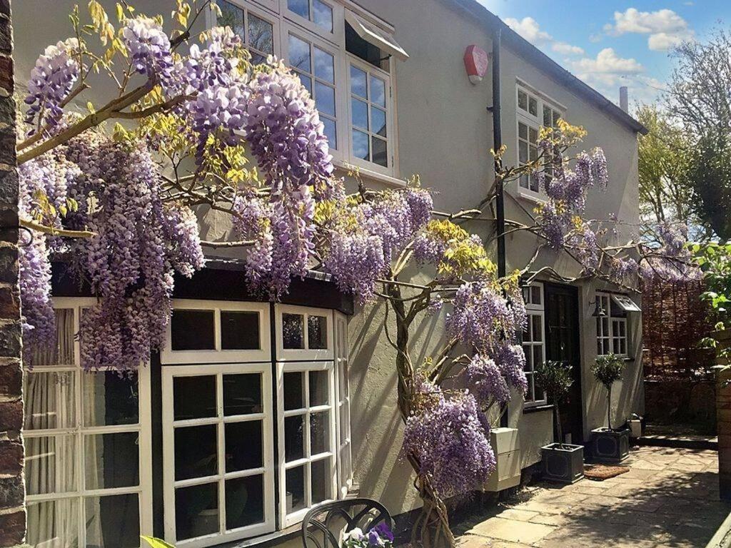 Boutique cottage with fabulous hot tub and generous garden - B&B