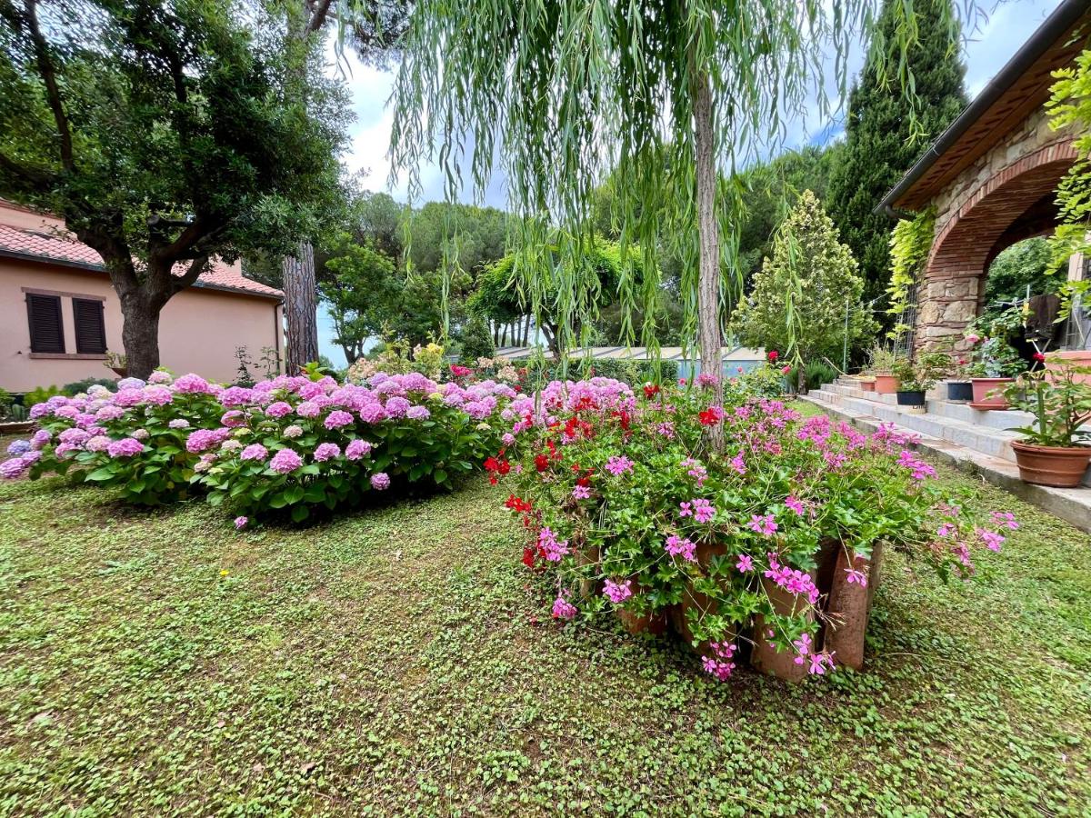 La rosa dei venti 'Scirocco' - Ferienwohnung Casale Marittimo