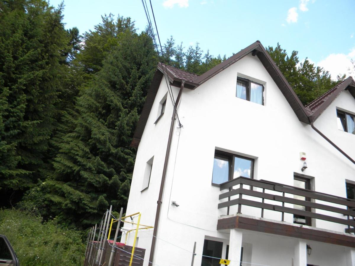 Caraiman Hive - B&B Buşteni