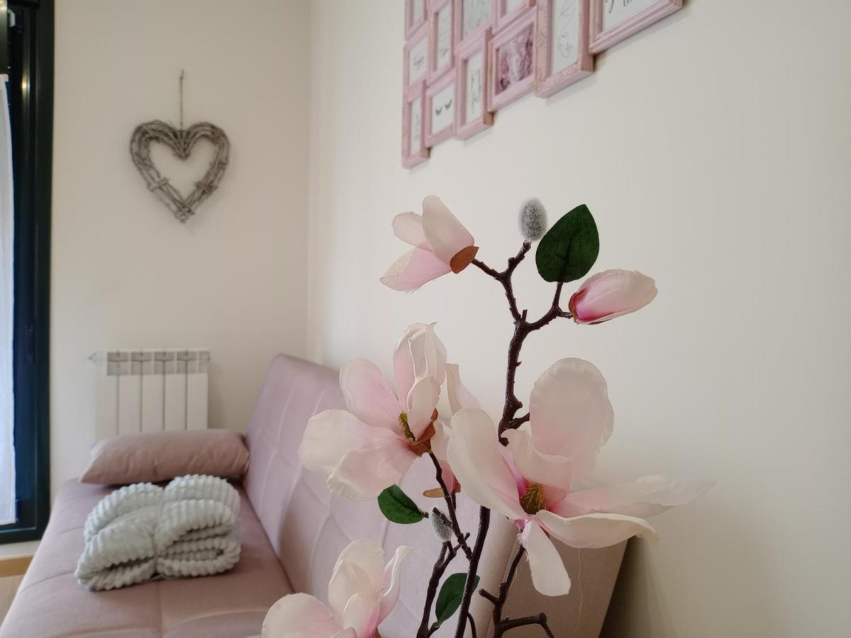 El Olmo - B&B
