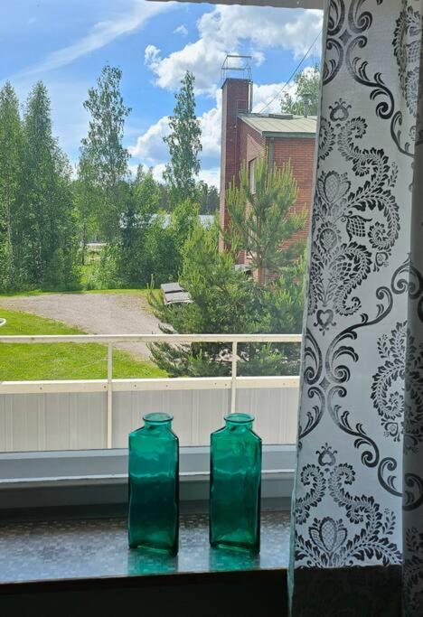 Himoksesta 30km, Halli, asunto 2-3hlöä,B12 - B&B Jämsä