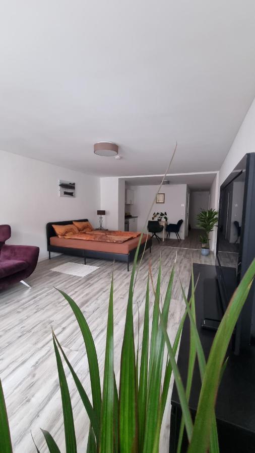Studio- Gemütlich, Charmant, Zentral - B&B