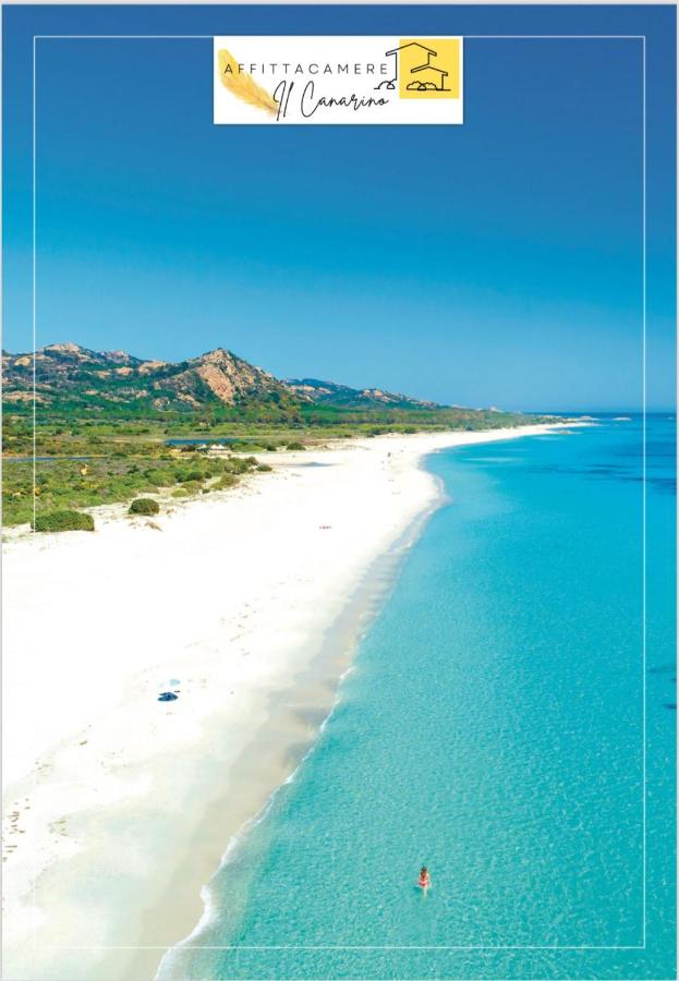 Camera Quadrupla Standard