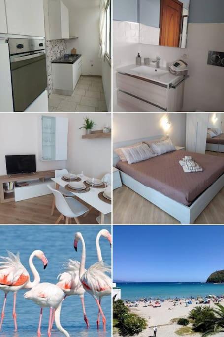 Acqua&Sale a 5min dalla spiaggia Poetto e Cagliari - B&B